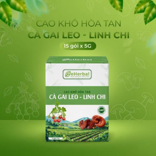 Cao Khô Hòa Tan Cà Gai Leo Linh Chi (Hộp 15 gói x 5g)