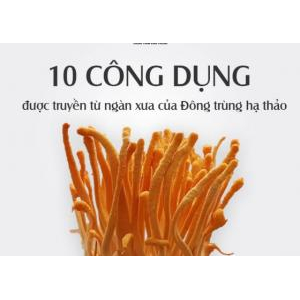 Lưu ý khi sử dụng đông trùng hạ thảo