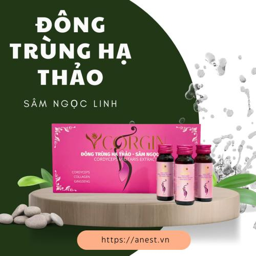 Đông Trùng Hạ Thảo Sâm Ngọc Linh