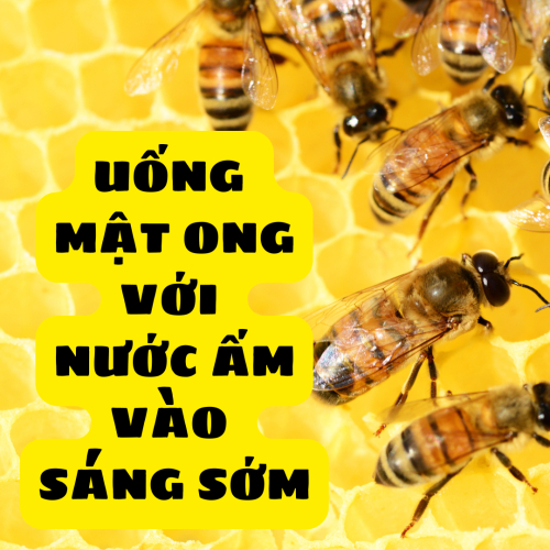 Uống Mật Ong Với Nước Ấm Vào Sáng Sớm Có Tác Dụng Gì