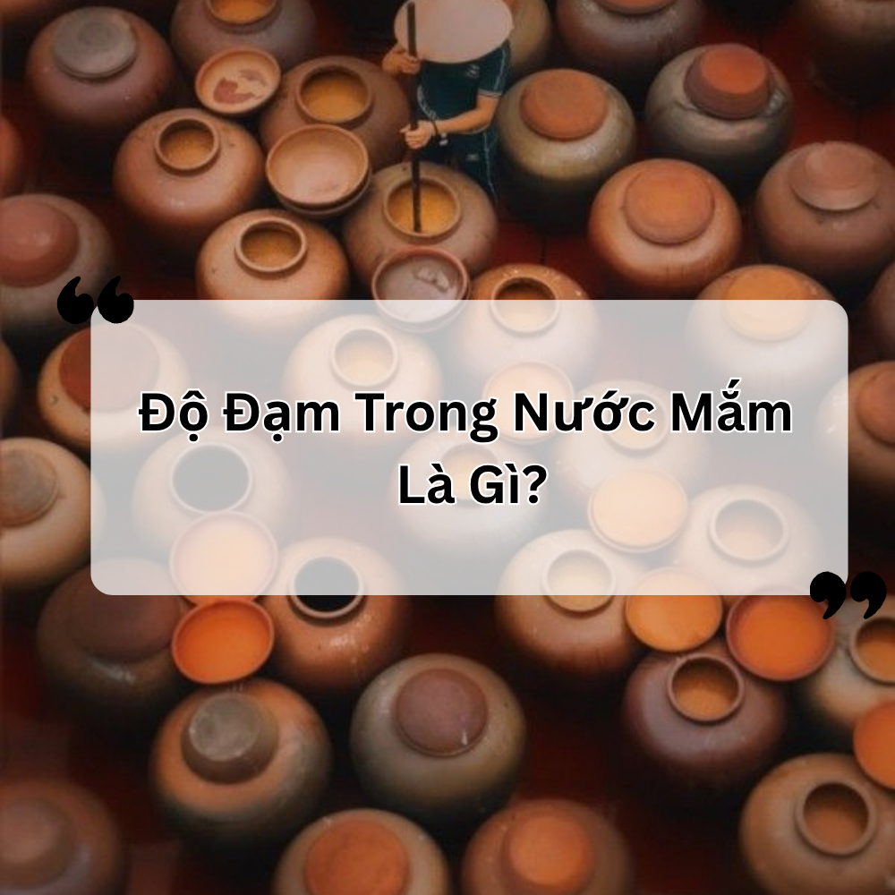 Độ Đạm Trong Nước Mắm Là Gì? Có Phải Độ Đạm Càng Cao Mắm Càng Ngon?