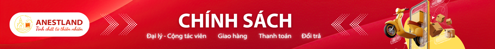 Cửa Hàng Số AnestLand