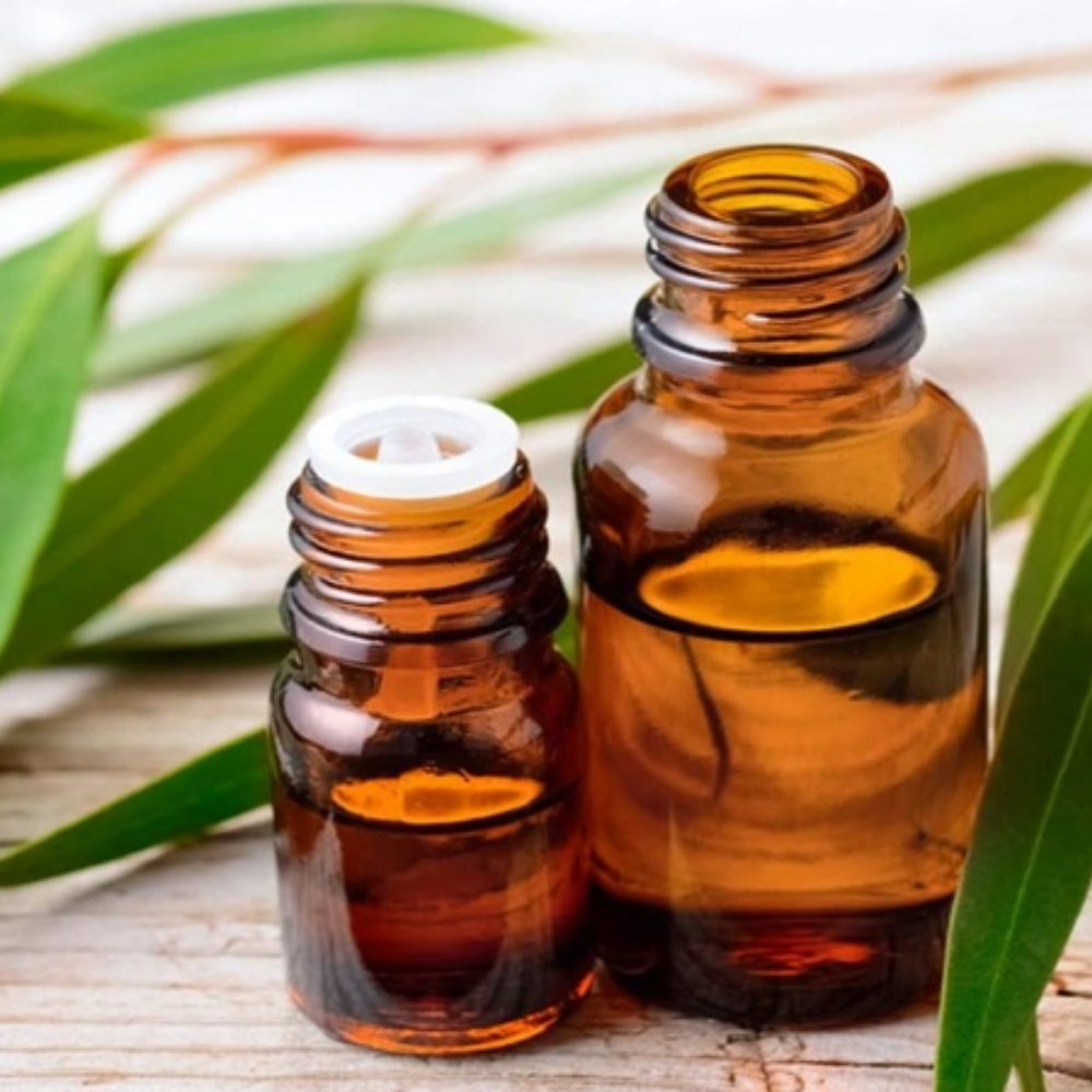 Công Dụng Dầu Khuynh Diệp Bạn Nên Biết