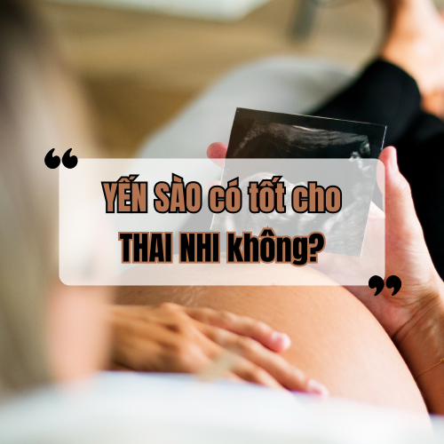 Ăn Yến Sào Có Tốt Cho Thai Nhi Không?