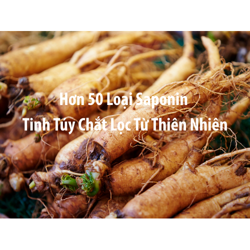 II. Những lợi ích đã được khoa học công nhận