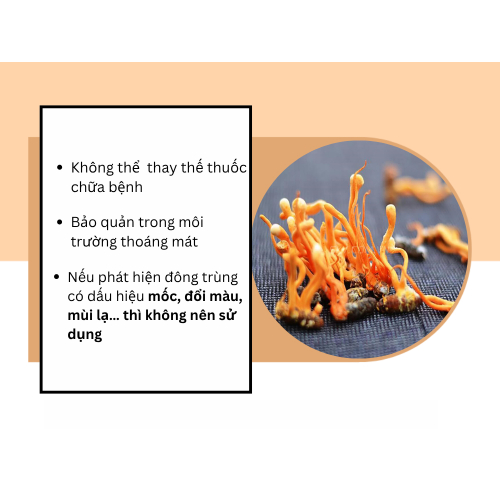 5. Những lưu ý Khi sử dụng