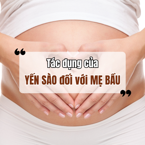Tác Dụng Của Yến Sào Đối Với Mẹ Bầu