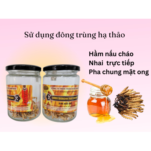 Công Dụng Đông Trùng Hạ Thảo Sinh Khối Khô