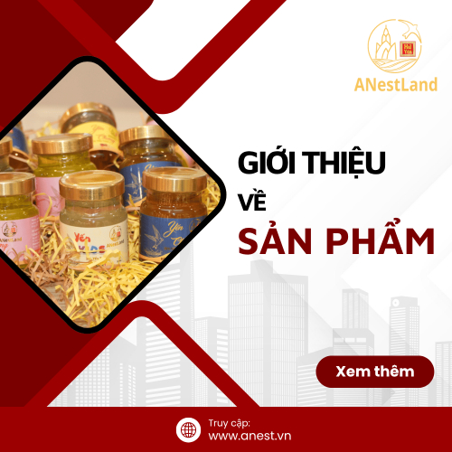 Về Sản Phẩm - Công Ty TNHH MTV ANestLand