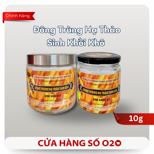 Công Dụng Đông Trùng Hạ Thảo Sinh Khối Khô