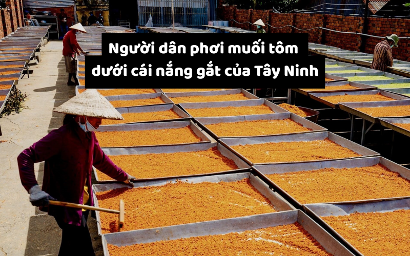 Nguồn gốc của muối tôm Tây Ninh