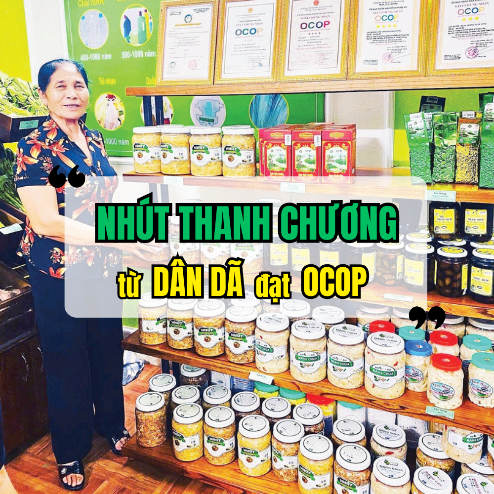 Nhút Thanh Chương – Từ Món Ăn Dân Dã Đến Sản Phẩm OCOP 4 Sao